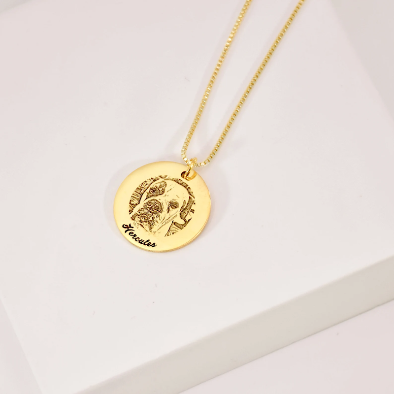 Collier pour animaux de compagnie