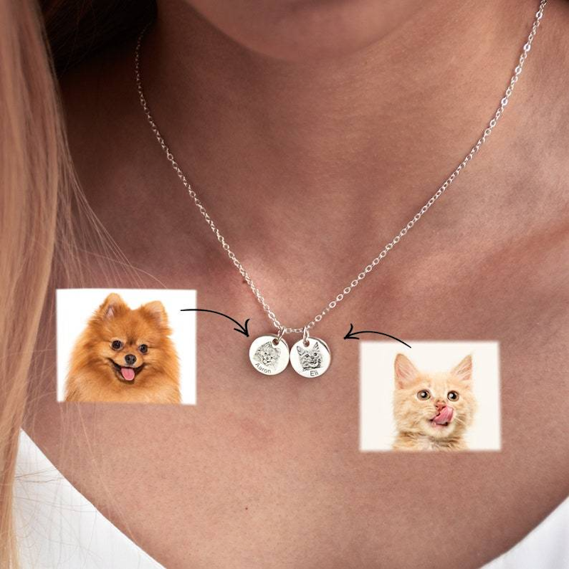 Collier pour animaux de compagnie