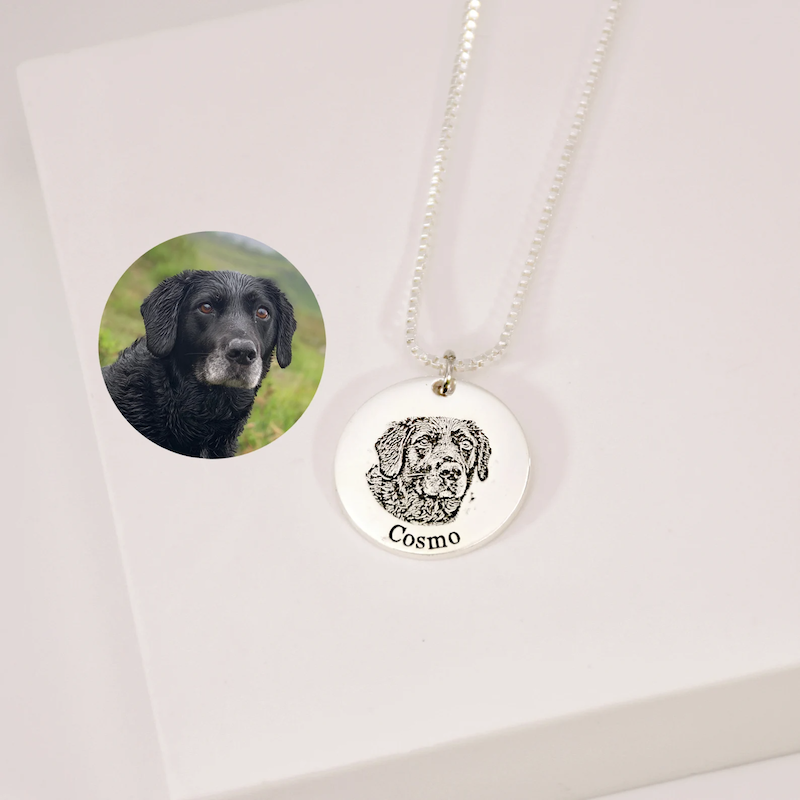Collier pour animaux de compagnie