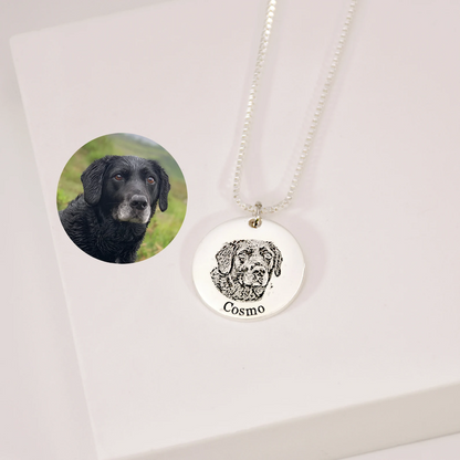 Collier pour animaux de compagnie