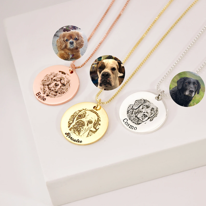 Collier pour animaux de compagnie
